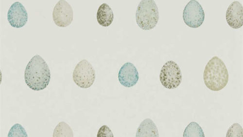 Nest Egg 216502